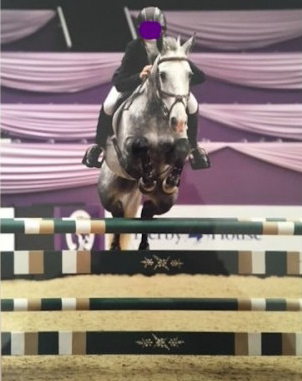 Fantastic 148cm - 3rd Place HOYS 2019 Pony Newcomers Championship